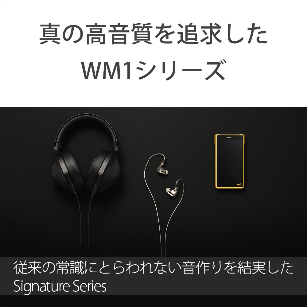 NW-WM1ZM2 購入 | ポータブルオーディオプレーヤー ウォークマン | ソニー