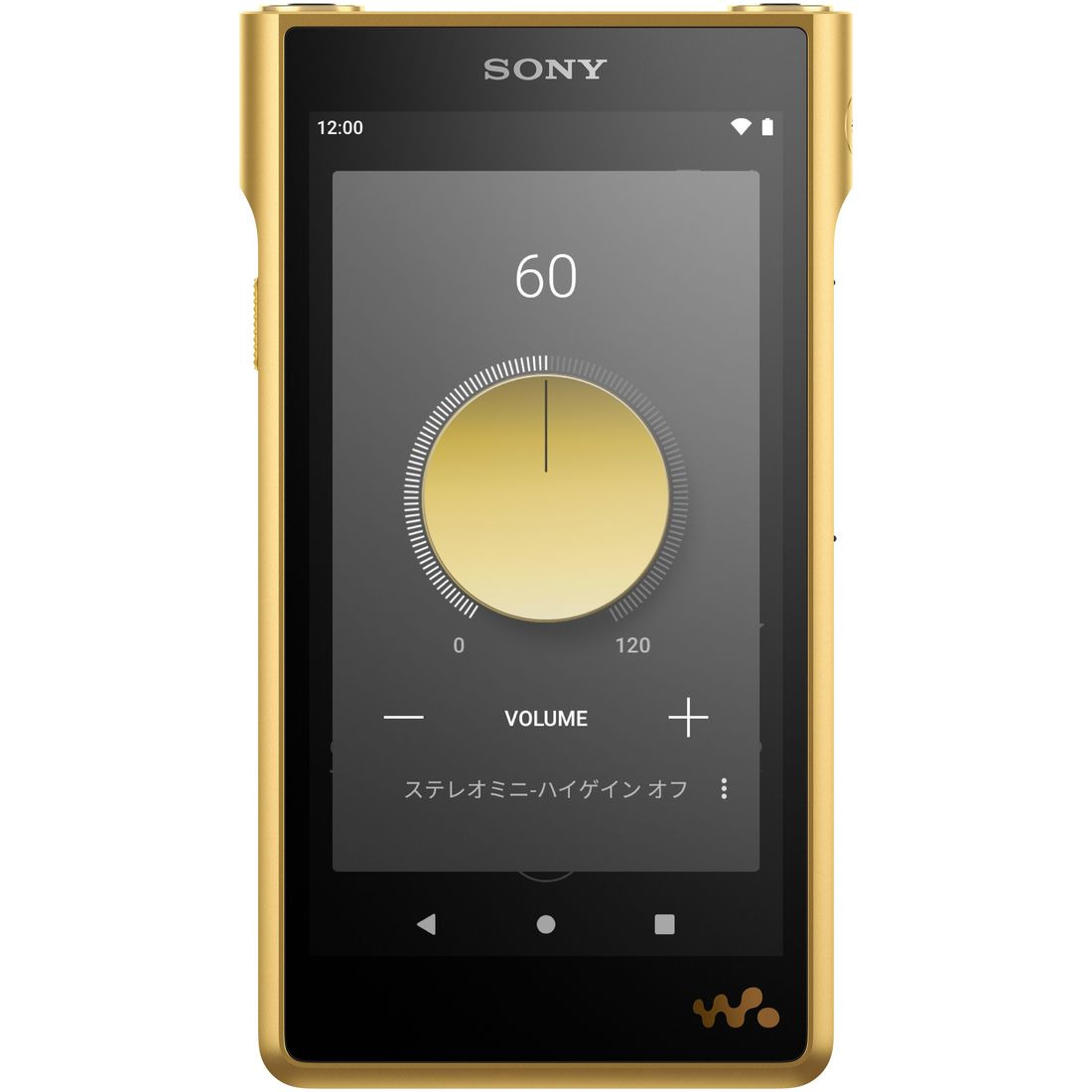SONY ウォークマン 256GB NW-WM1ZM2ポータブルプレーヤー - ポータブル 