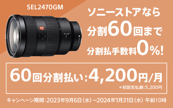SEL2470GM 購入 | デジタル一眼カメラ α：アルファ | ソニー