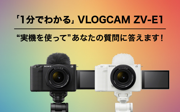 VLOGCAM ZV-E1 主な仕様 | デジタル一眼カメラα（アルファ） | ソニー