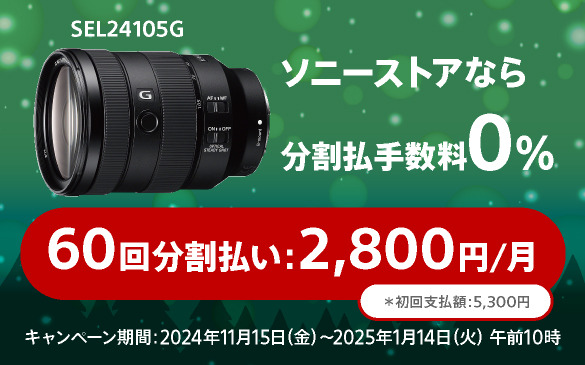 FE 24-105mm F4 G OSS | デジタル一眼カメラα（アルファ） | ソニー