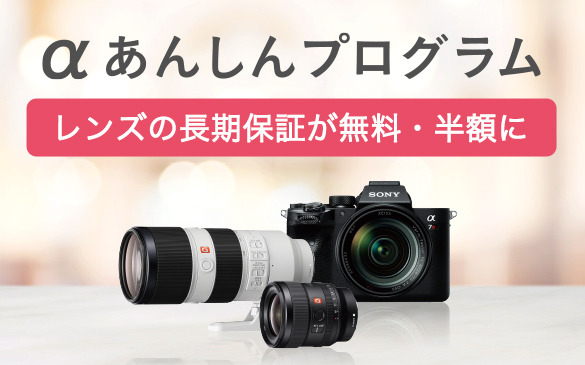 E 55-210mm F4.5-6.3 OSS 主な仕様 | デジタル一眼カメラα（アルファ 