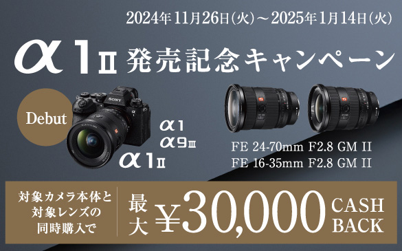 1 II LOLy[ Debut | 1 II | 1 | 9 III | FE 24-70mm F2.8 GM II | FE 16-35mm F2.8 GM II | ΏۃJ{̂ƑΏۃY̓w ő偏30,000 CASH BACK 2024N1126-2025N114