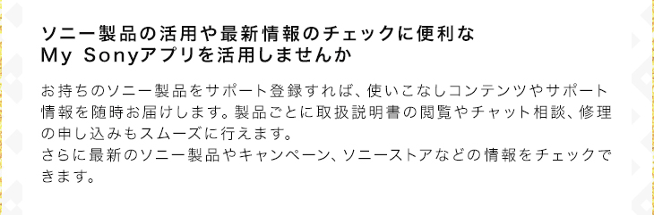 ソニー 著作権保護機能搭載IC記録メディア“メモリースティック PRO