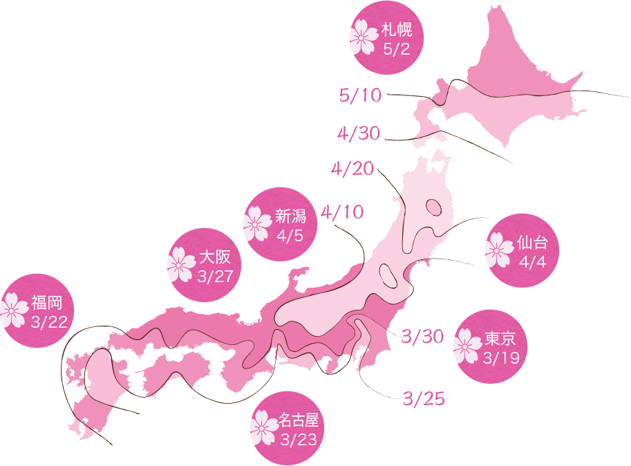 一期一会の美しさを極める ソニー