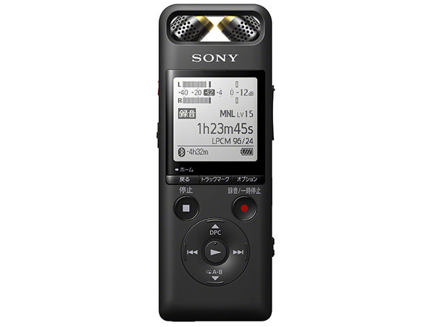 Sony PCM-A10 レコーダー www.krzysztofbialy.com