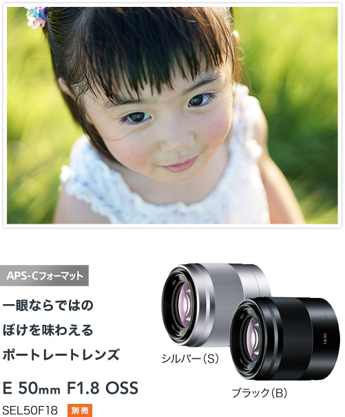α6000+単焦点レンズ16mm F2.8