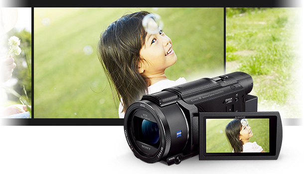 SONY  デジタルビデオカメラ ハンディカム FDR-AX60
