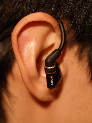 SONY INNER EAR MONITOR MDR-EX800ST - labaleinemarseille.com