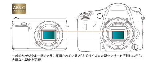 NEX-F3 特長 : 高画質＆小型・軽量ボディ | デジタル一眼カメラα ...