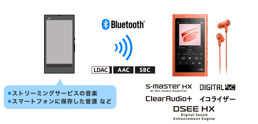 売りオーダー ソニー ウォークマン Aシリーズ 16GB NW-A55HN | artfive