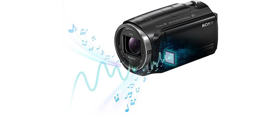 おすすめネット ソニー ビデオカメラ SONY HDR-CX670(B) ビデオカメラ 