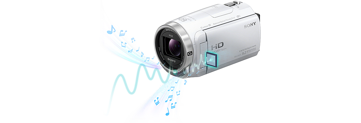 HDR-CX675 特長 : 高音質機能 | デジタルビデオカメラ Handycam ...