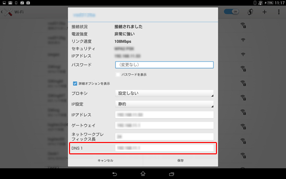 DNSの内容を確認