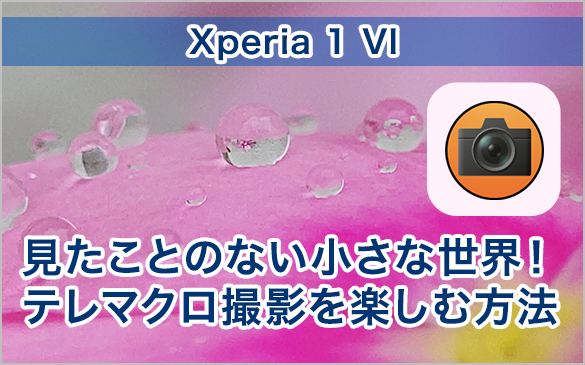 Xperia 1 VI Ƃ̂ȂĚIe}NBeyޕ@