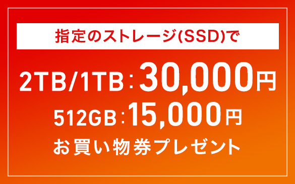 Vaio パーソナルコンピューター キャンペーン情報一覧 ソニー Vaio パーソナルコンピューター ソニー