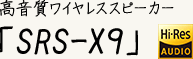 CXXs[J[uSRS-X9v Hi-Res AUDIO