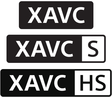 XAVCAXAVC SAXAVC HS 3ނ̃S