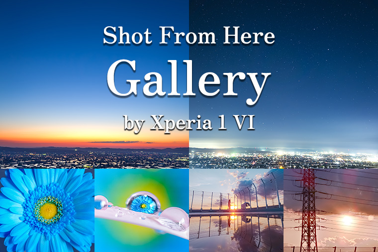 Shot From Here Gallery by Xperia 1 VI