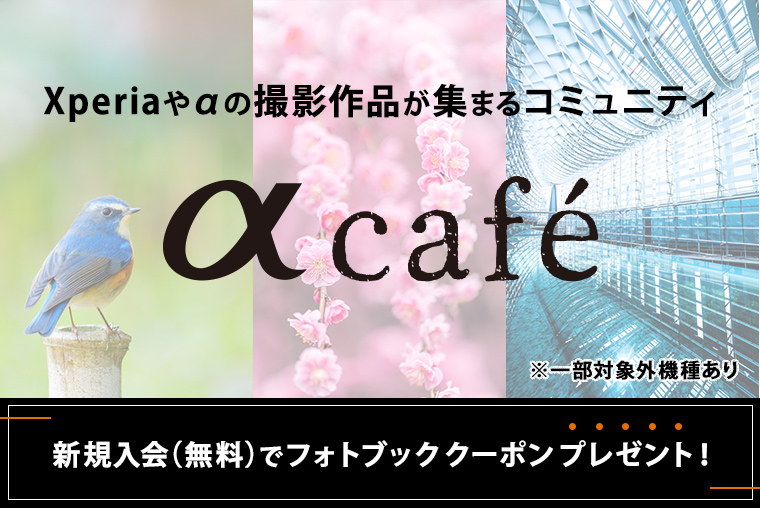 Xperiaやαの撮影作品が集まるコミュニティ α cafe ※一部対象外機種あり 新規入会（無料）でフォトブッククーポンプレゼント！